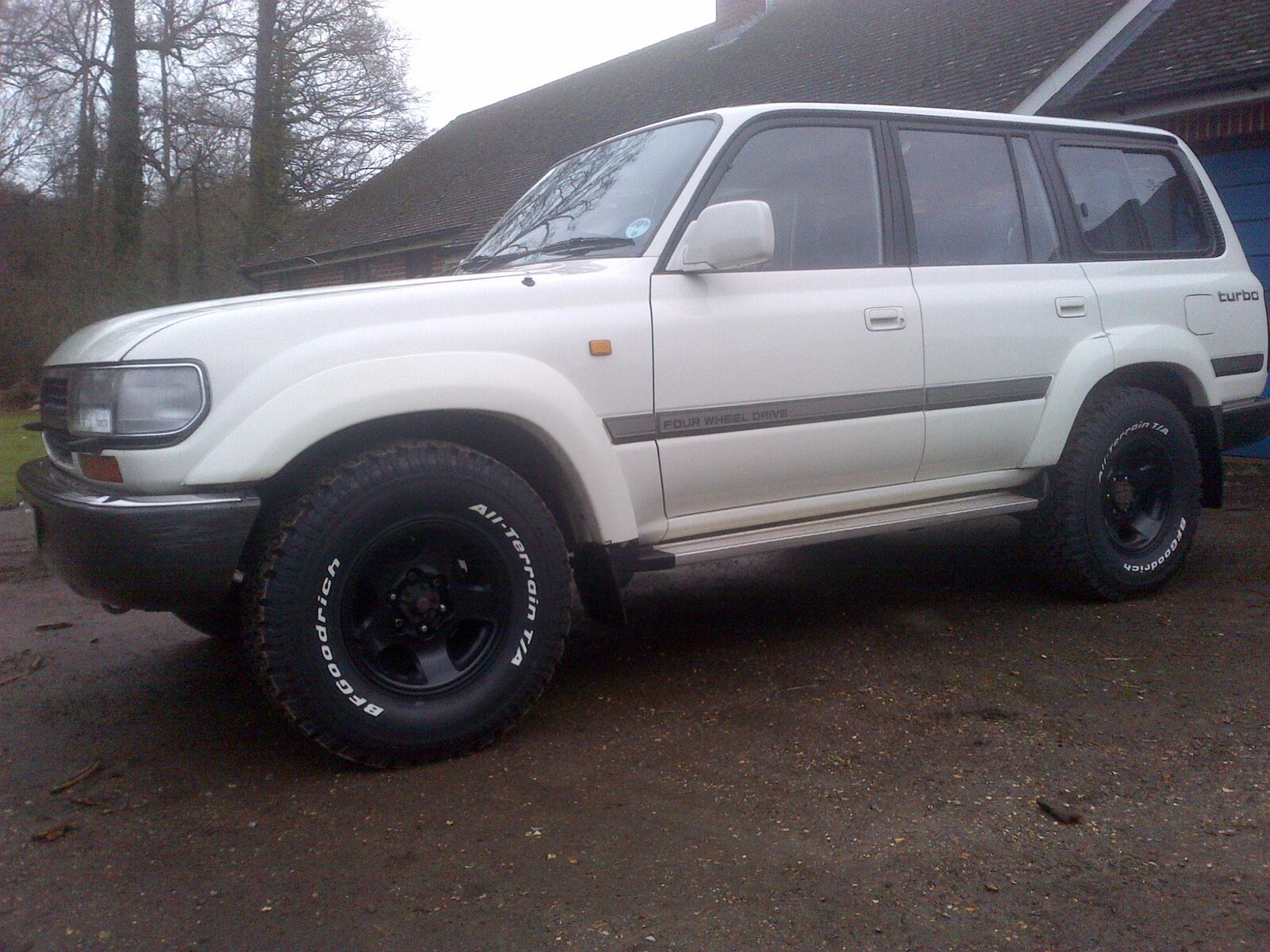 New Forest-20130126-00010.jpg