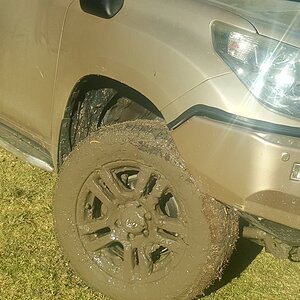 Thick mud