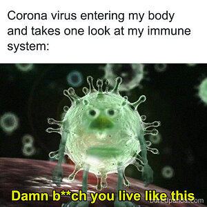 coronavirus-funny-jokes-2034-5e74ca77bec9e__700.jpg