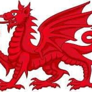 Welsh dragon.jpg