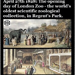 London Zoo.jpg