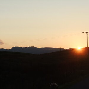 DSCF0944.jpg