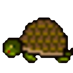 mini-tortoise.gif