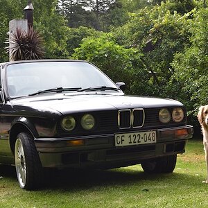 BMW3.jpg