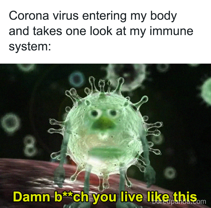 coronavirus-funny-jokes-2034-5e74ca77bec9e__700.jpg