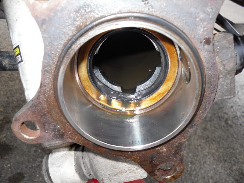 SDC10550.jpg